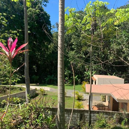 Alma Del Bosque Vacation Home And Apartments Quepos Extérieur photo