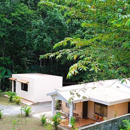 Alma Del Bosque Vacation Home And Apartments Quepos Extérieur photo