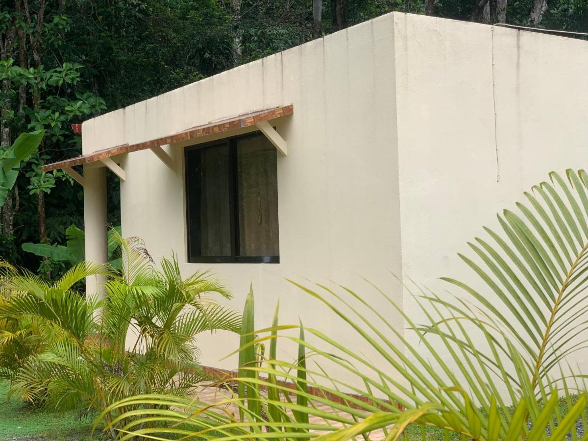 Alma Del Bosque Vacation Home And Apartments Quepos Extérieur photo