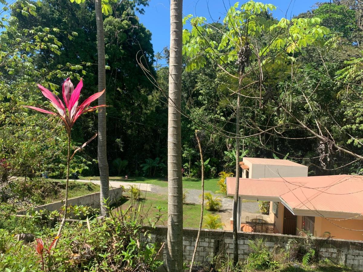 Alma Del Bosque Vacation Home And Apartments Quepos Extérieur photo